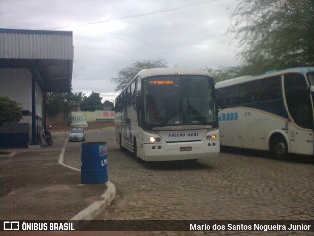 Falcão Real 1150 na cidade de Piritiba, Bahia, Brasil, por Mario dos Santos Nogueira Junior. Número da foto: #9999487.