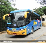 Rápido Expresso Fênix Viação 36525 na cidade de São Paulo, São Paulo, Brasil, por Gabriel Correa. Número da foto: #10004201.