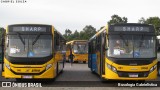 Sharp Transportes 121 na cidade de Curitiba, Paraná, Brasil, por Busologia Gabrielística. Número da foto: #10001462.