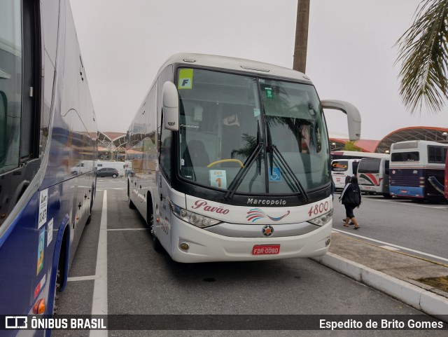 Turismo Pavão 4800 na cidade de Aparecida, São Paulo, Brasil, por Espedito de Brito Gomes. ID da foto: 10005656.