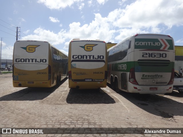 Empresa Gontijo de Transportes 14875 na cidade de Bayeux, Paraíba, Brasil, por Alexandre Dumas. Número da foto: #10007000.