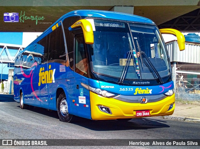 Rápido Expresso Fênix Viação 36525 na cidade de Campinas, São Paulo, Brasil, por Henrique Alves de Paula Silva. Número da foto: #10005478.