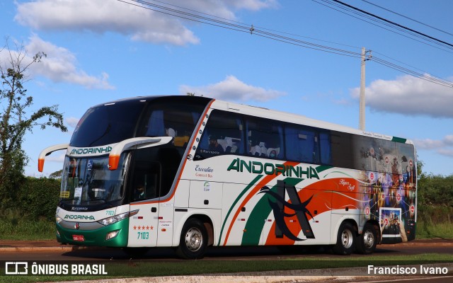 Empresa de Transportes Andorinha 7103 na cidade de Assis, São Paulo, Brasil, por Francisco Ivano. ID da foto: 10011106.