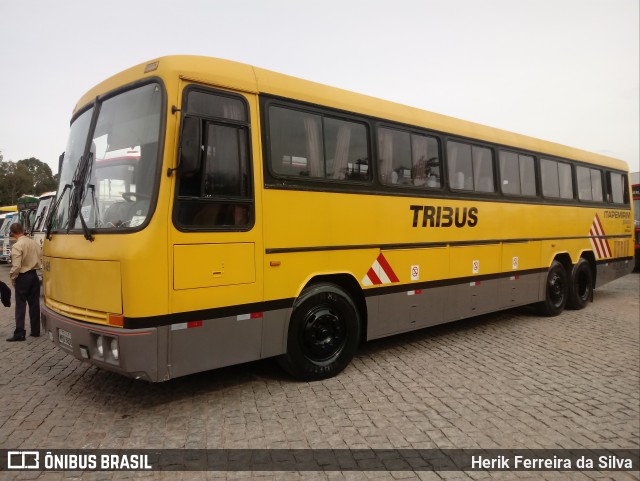 Ônibus Particulares 20469 na cidade de Curitiba, Paraná, Brasil, por Herik Ferreira da Silva. ID da foto: 10010732.