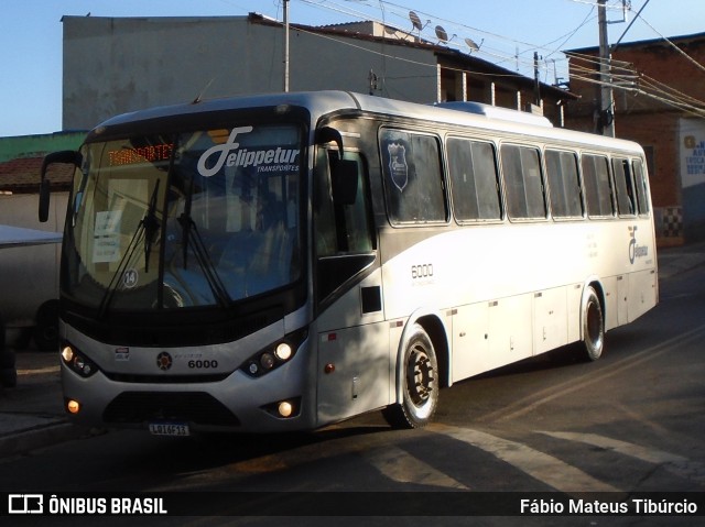 Felippetur Transportes 6000 na cidade de Três Corações, Minas Gerais, Brasil, por Fábio Mateus Tibúrcio. ID da foto: 10010126.