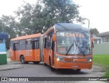 Viação Tamandaré 16404 na cidade de Almirante Tamandaré, Paraná, Brasil, por Amauri Caetano. Número da foto: #10013303.