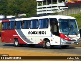 Rouxinol 1700 na cidade de Betim, Minas Gerais, Brasil, por Matheus Adler. ID da foto: :id.