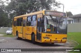Viação Tamandaré 16805 na cidade de Almirante Tamandaré, Paraná, Brasil, por Amauri Caetano. Número da foto: #10019530.
