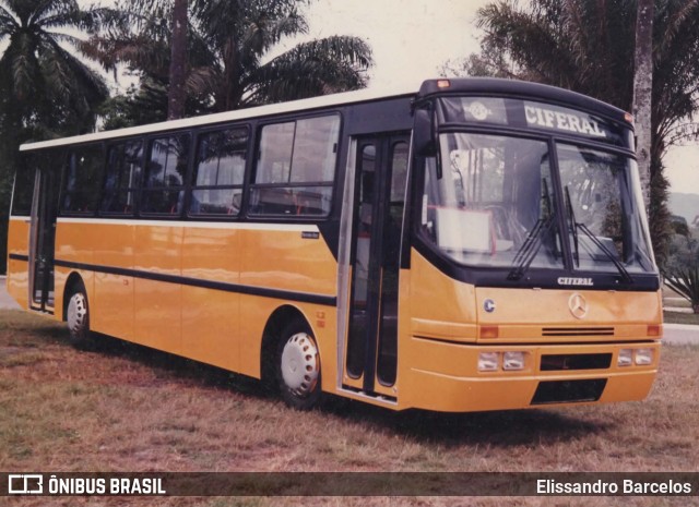 Ciferal  na cidade de Duque de Caxias, Rio de Janeiro, Brasil, por Elissandro Barcelos. Número da foto: #10028807.