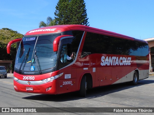 Viação Santa Cruz 206160 na cidade de Três Corações, Minas Gerais, Brasil, por Fábio Mateus Tibúrcio. ID da foto: 10027169.