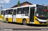 Belém Rio Transportes BD-226 na cidade de Belém, Pará, Brasil, por Fabio Soares. Número da foto: #10026022.