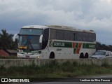Empresa Gontijo de Transportes 14420 na cidade de Caruaru, Pernambuco, Brasil, por Lenilson da Silva Pessoa. Número da foto: #10028097.