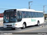 Blubus Transportes e Turismo 2408 na cidade de Indaial, Santa Catarina, Brasil, por Denys Oberziner. Número da foto: #10032774.