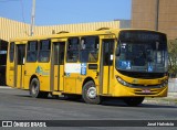 AVP - Auto Viação Paraíso 5365 na cidade de Aracaju, Sergipe, Brasil, por José Helvécio. Número da foto: #:id.