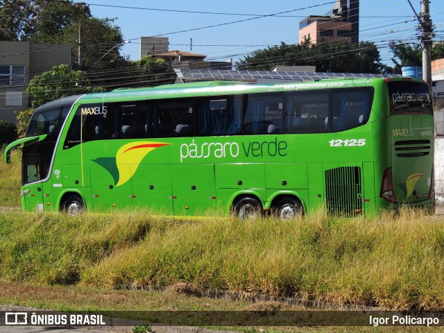 Pássaro Verde 12125 na cidade de Divinópolis, Minas Gerais, Brasil, por Igor Policarpo. ID da foto: 10040482.