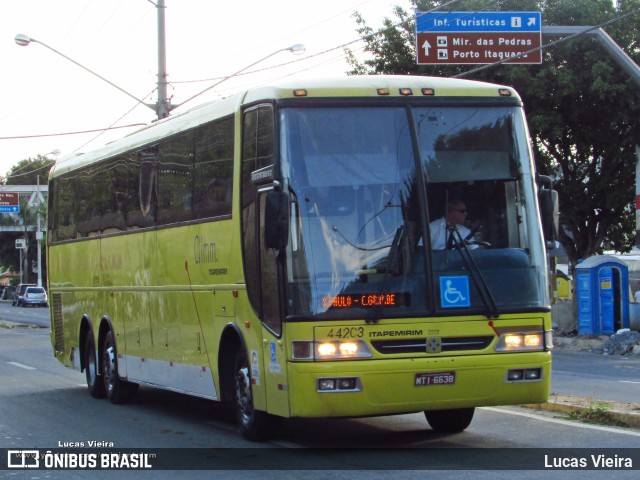 Viação Itapemirim 44203 na cidade de Aparecida, São Paulo, Brasil, por Lucas Vieira. Número da foto: #10040488.