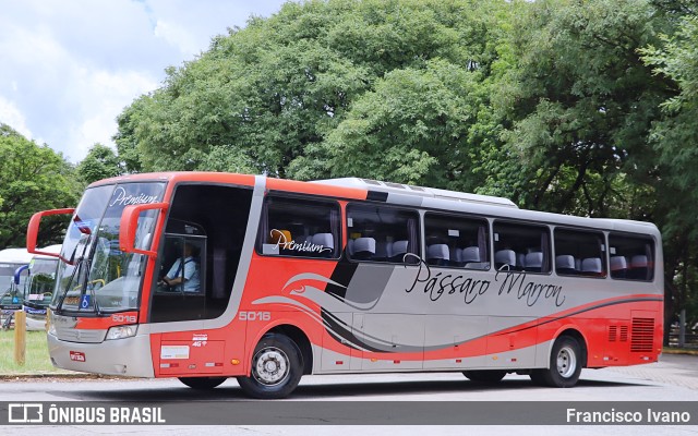 Empresa de Ônibus Pássaro Marron 5016 na cidade de São Paulo, São Paulo, Brasil, por Francisco Ivano. ID da foto: 10040993.