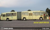 Araucária Transportes Coletivos 19M70 na cidade de Curitiba, Paraná, Brasil, por Carlos Júnior. Número da foto: #10040385.
