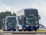 Greyhound África do Sul  na cidade de Piraquara, Paraná, Brasil, por Guilherme Neudorff. Número da foto: #10045540.
