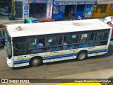 El Anconero 09 na cidade de Puente Piedra, Lima, Lima Metropolitana, Peru, por Joaquín Mauricio Vidal Mollyk. Número da foto: #9972541.