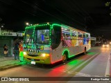 Ônibus Particulares TRP 02 JOYBUS BRASIL TRENZINHO LIZANA na cidade de Fortaleza, Ceará, Brasil, por Rodrigo Gualter. Número da foto: #9975349.