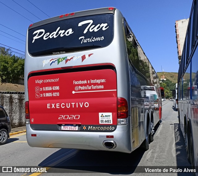 Pedro Tur Turismo 2020 na cidade de Aparecida, São Paulo, Brasil, por Vicente de Paulo Alves. Número da foto: #9977787.