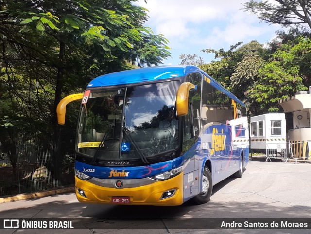 Rápido Expresso Fênix Viação 35025 na cidade de São Paulo, São Paulo, Brasil, por Andre Santos de Moraes. Número da foto: #9981462.