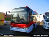 Stock King Long Full Electric RED Regiones na cidade de Santa Cruz, Colchagua, Libertador General Bernardo O'Higgins, Chile, por Pablo Andres Yavar Espinoza. ID da foto: :id.