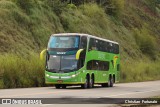 Pássaro Verde 12127 na cidade de Coimbra, Minas Gerais, Brasil, por Christian  Fortunato. Número da foto: #9980398.