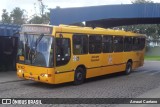 Viação Tamandaré 16802 na cidade de Almirante Tamandaré, Paraná, Brasil, por Amauri Caetano. Número da foto: #9982987.