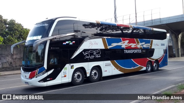 Arte Transportes e Turismo 20000 na cidade de Belo Horizonte, Minas Gerais, Brasil, por Nilson Brandão Alves. Número da foto: #10052084.