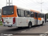 Linave Transportes A03019 na cidade de Nova Iguaçu, Rio de Janeiro, Brasil, por Augusto César. Número da foto: #10077121.