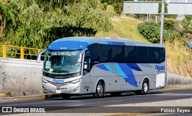 Pegasso 55191 na cidade de Morelia, Michoacán, México, por Fabián Reyes. ID da foto: 10080213.