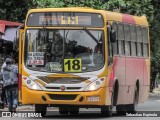 Lince 15 na cidade de Asunción, Paraguai, por Sebastian Espinola. Número da foto: #10081688.