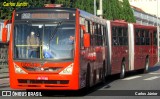 Viação Cidade Sorriso >> Viação Sorriso de Curitiba GD342 na cidade de Curitiba, Paraná, Brasil, por Carlos Júnior. Número da foto: #10084065.