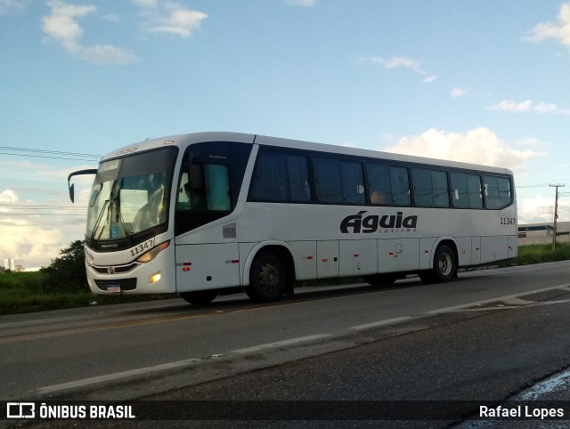 Águia Turismo 11347 na cidade de Campina Grande, Paraíba, Brasil, por Rafael Lopes. ID da foto: 10085792.