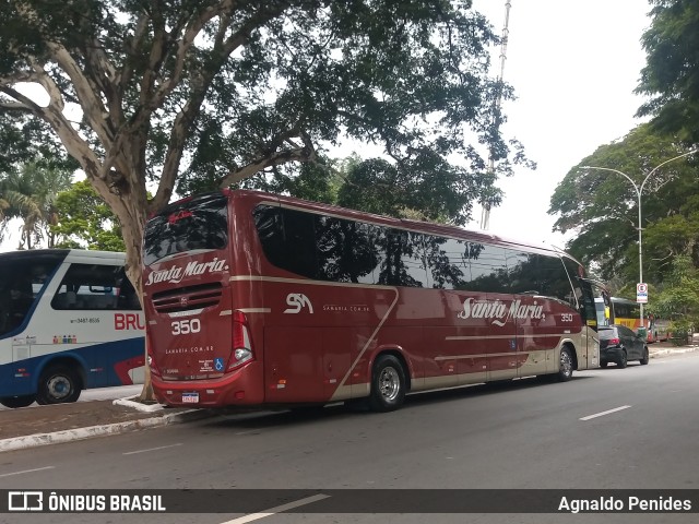 Santa Maria Fretamento e Turismo > Transportes Santa Maria(SP) 350 na cidade de São Paulo, São Paulo, Brasil, por Agnaldo Penides. Número da foto: #10086128.