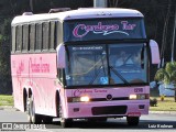 Cardoso Turismo 1216 na cidade de Juiz de Fora, Minas Gerais, Brasil, por Luiz Krolman. Número da foto: #10087368.