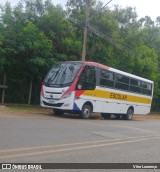Estevam Transportes 2133 na cidade de Itapetininga, São Paulo, Brasil, por Vitor Lourenço. Número da foto: #:id.