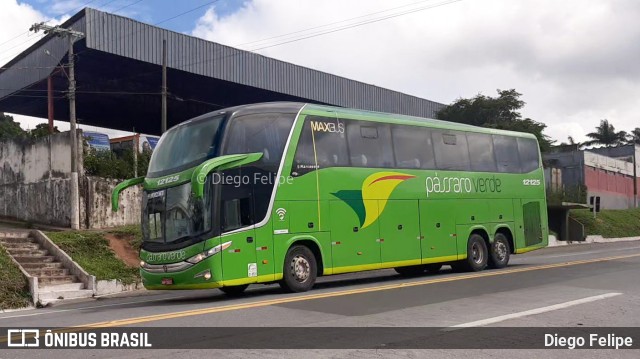 Pássaro Verde 12125 na cidade de Formiga, Minas Gerais, Brasil, por Diego Felipe. ID da foto: 10088376.