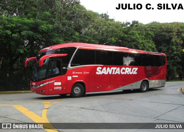 Viação Santa Cruz 22919 na cidade de São Paulo, São Paulo, Brasil, por JULIO SILVA. ID da foto: 10092841.