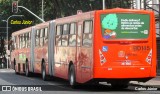 Transporte Coletivo Glória BD145 na cidade de Curitiba, Paraná, Brasil, por Carlos Júnior. Número da foto: #10090860.