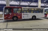 Auto Viação Transcap >> Auto Bless Transportes 8 5290 na cidade de São Paulo, São Paulo, Brasil, por Raphael Vieira Nobre da Cruz. Número da foto: #10090118.