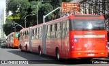 Araucária Transportes Coletivos LE700 na cidade de Curitiba, Paraná, Brasil, por Carlos Júnior. Número da foto: #10091407.
