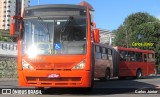 Transporte Coletivo Glória BD144 na cidade de Curitiba, Paraná, Brasil, por Carlos Júnior. Número da foto: #10093392.