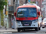 ATL - Associação dos Transportadores de Passageiros por Lotação 200 na cidade de Porto Alegre, Rio Grande do Sul, Brasil, por Guilherme Estevan. Número da foto: #10095396.