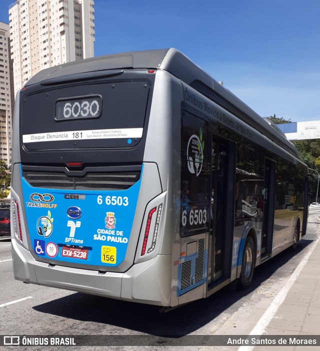 Transwolff Transportes e Turismo 6 6503 na cidade de São Paulo, São Paulo, Brasil, por Andre Santos de Moraes. Número da foto: #10097465.
