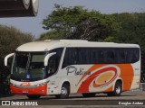 Viação Platina 1900 na cidade de Uberlândia, Minas Gerais, Brasil, por Douglas Andrez. Número da foto: #10096808.