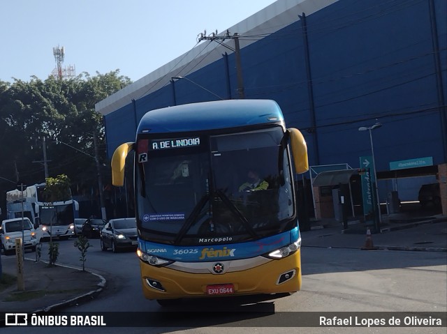 Rápido Expresso Fênix Viação 36025 na cidade de São Paulo, São Paulo, Brasil, por Rafael Lopes de Oliveira. Número da foto: #10102290.