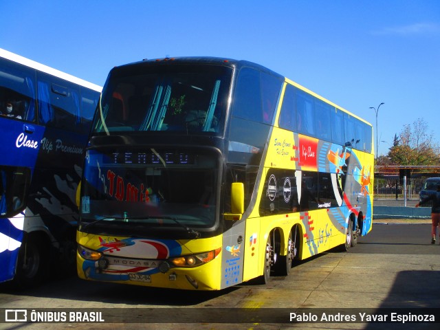 Jet Sur 84 na cidade de Rancagua, Cachapoal, Libertador General Bernardo O'Higgins, Chile, por Pablo Andres Yavar Espinoza. ID da foto: 10103540.